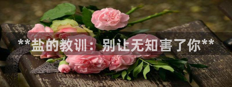 威九国际免费版