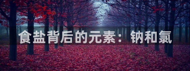 威九国际h5