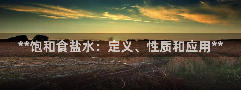 威九国际官方入口官网