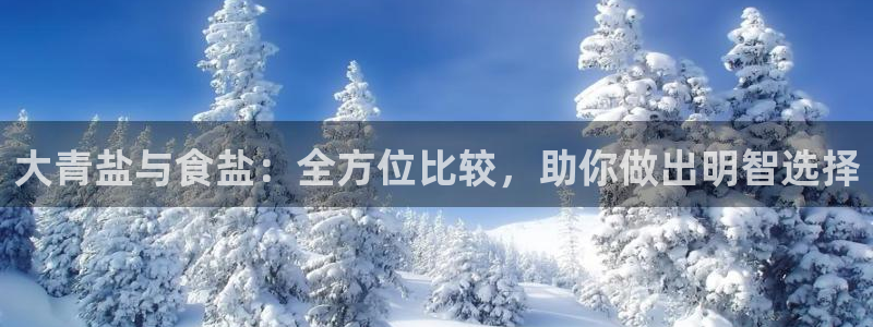 威九国际78mB