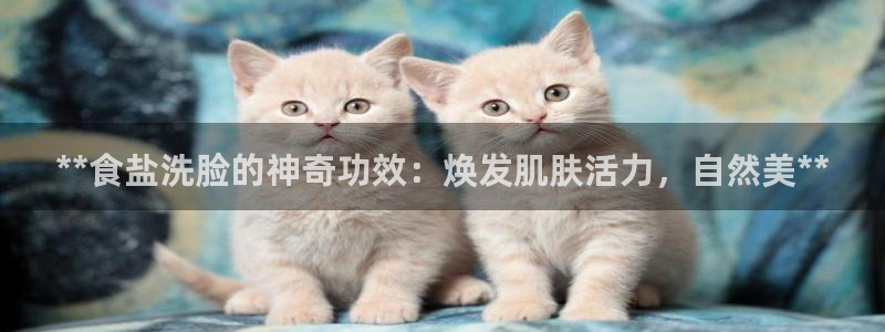威九国际app
