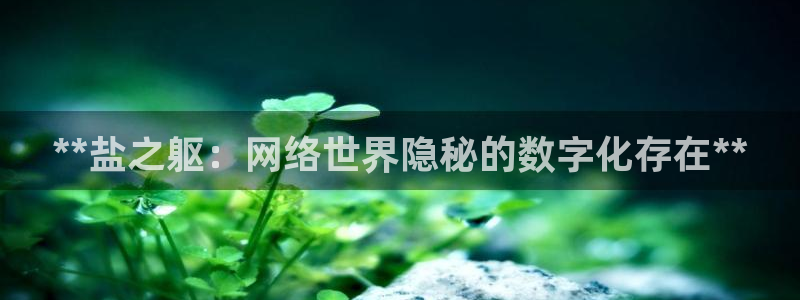 威九国际的女主