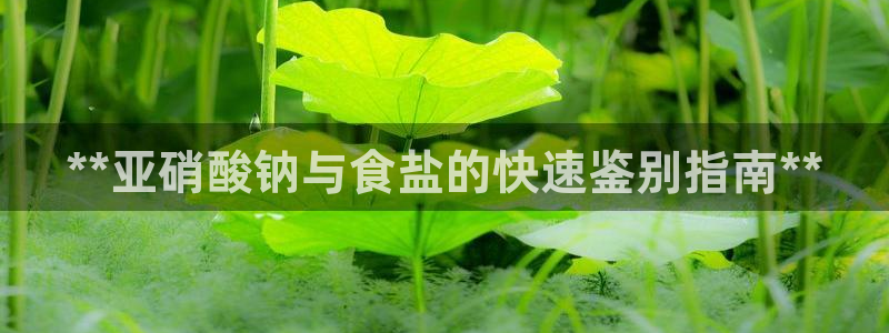 威九国际地址