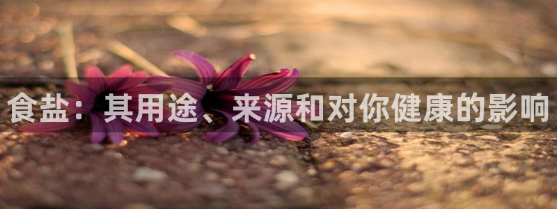 威九国际女儿的朋友