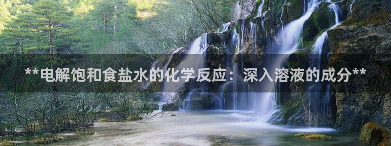 威九国际ppt免费下载网址