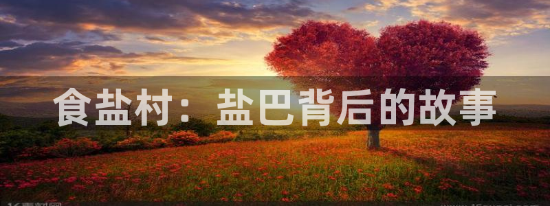 威九国际安全吗的认证团队