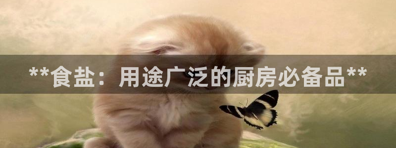 66m威九国际精选