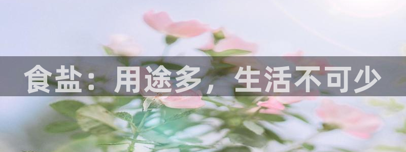 威九国际旗下艺人