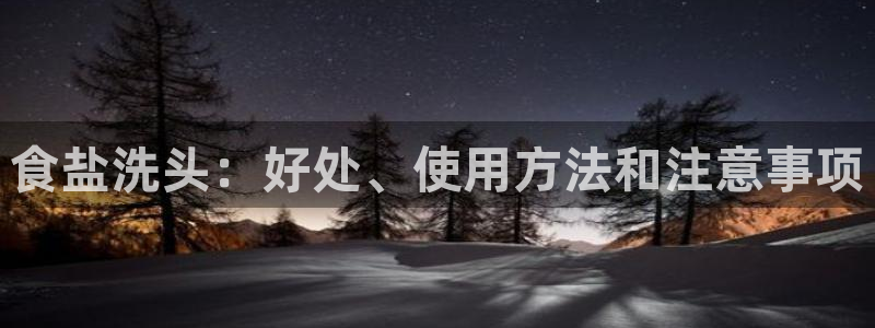 保定威九网络科技有限公司