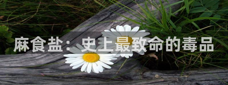 威九国际网站怎么样可靠吗