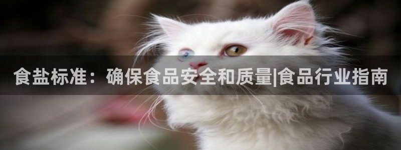 威九国际娜娜