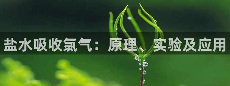 威九国际网站入口官网免费下载