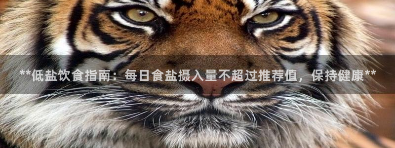 威九国际客服电话人工服务