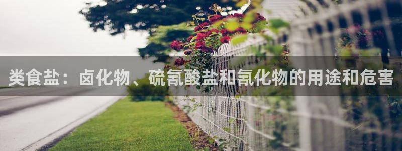 威九国际8ⅹ8x