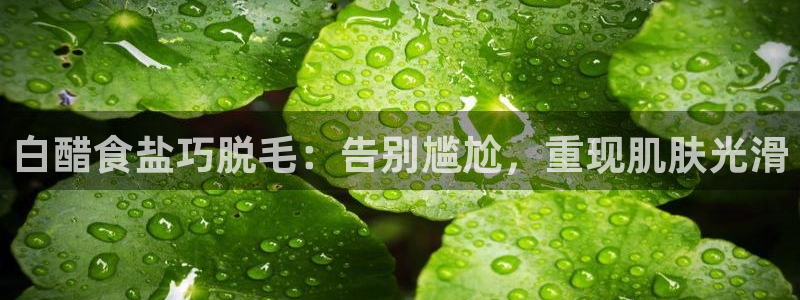 威九国际66m