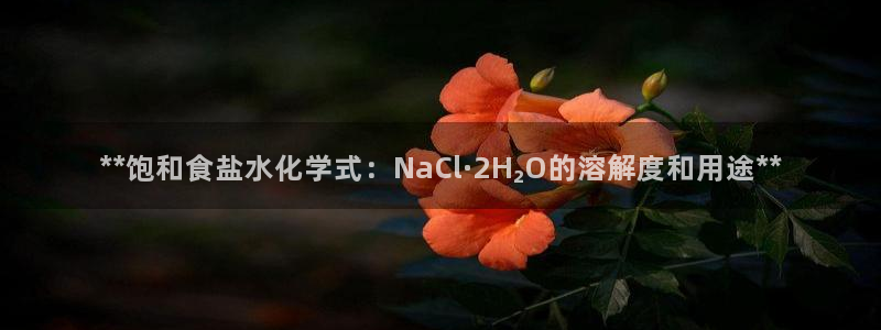 威九国际网站入口官网首页下载