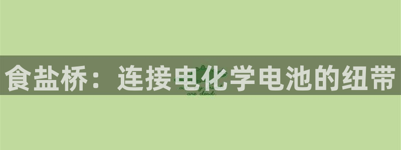 保定威九网络科技有限公司怎么样