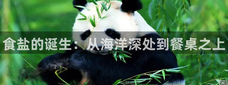 威九国际app网站安全吗