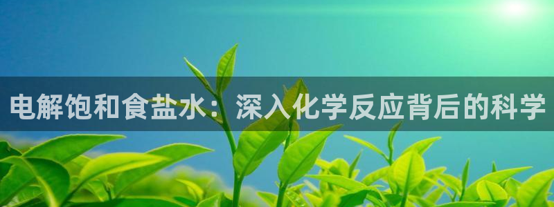 威九国际韩国
