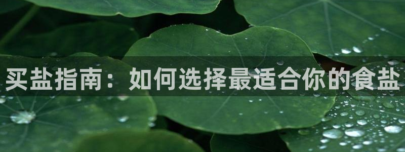 威九国际动漫