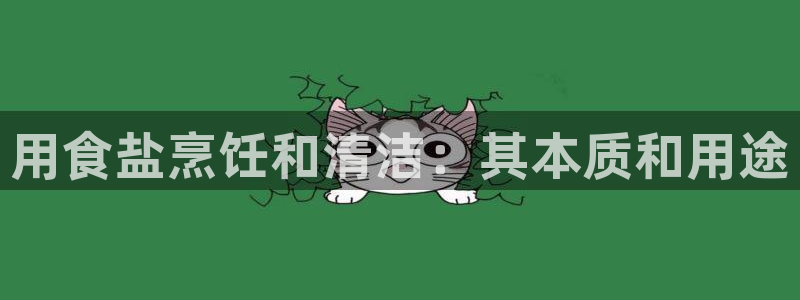 威九国际H