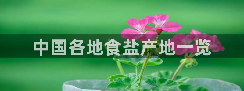 威九国际女神