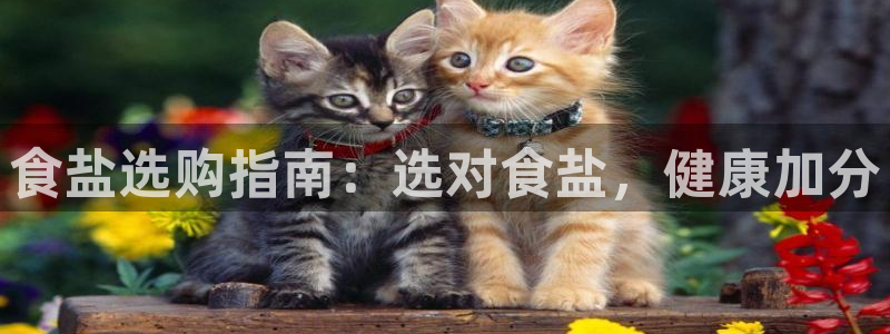 威九国际男演员