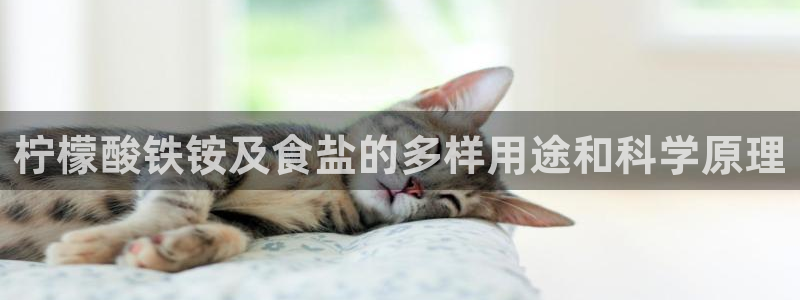 威九国际女明星