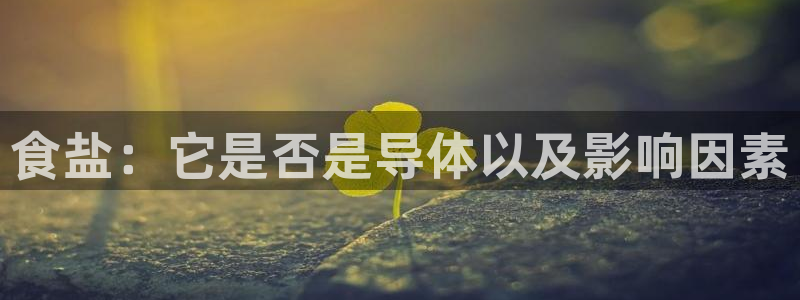 78mapp威九国际网页版