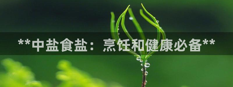 威九国际系列