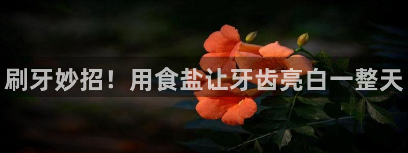威九国际的金融服务有哪些