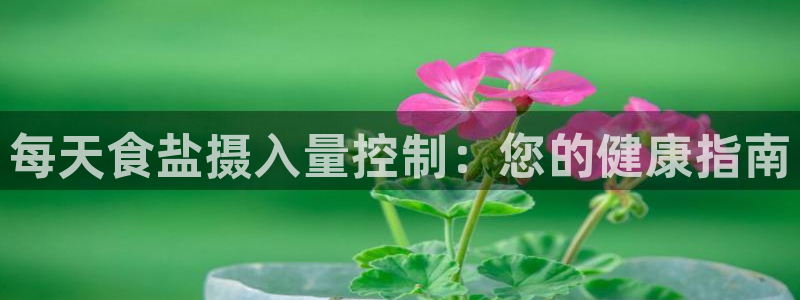 78mapp威九国际最新版