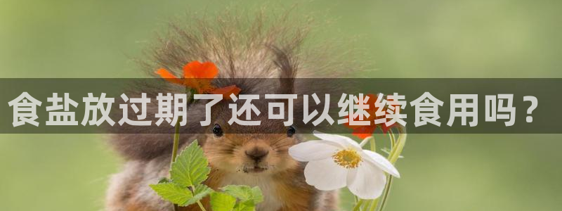 威九国际app客服电话