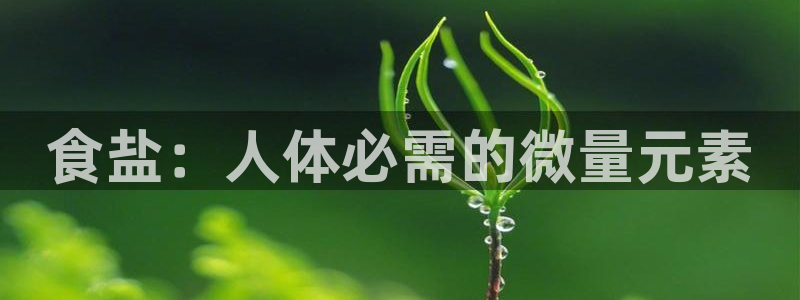 威九国际客服电话号码查询