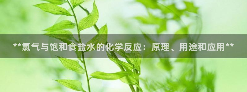 78mapp威九国际成全视频