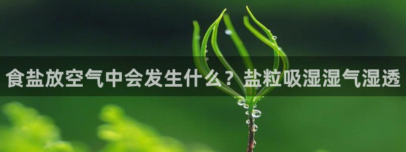 威九国际网站入口官网首页
