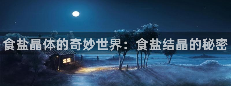威九国际女主名字