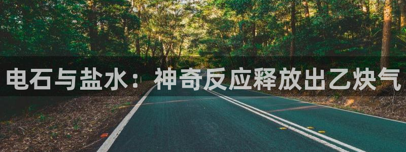 威九国际免费网络站