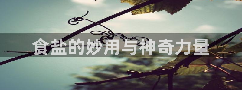威九国际网站链接