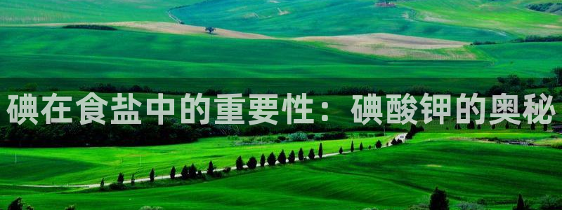 威九国际摩托电影HD