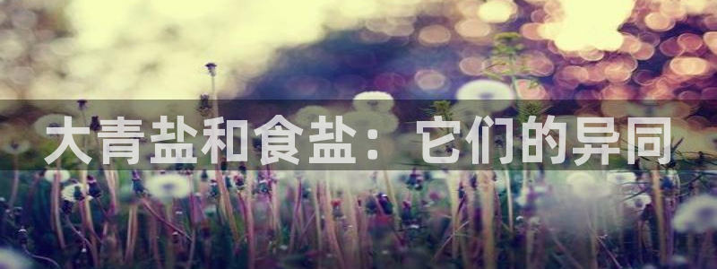 威九国际官网版