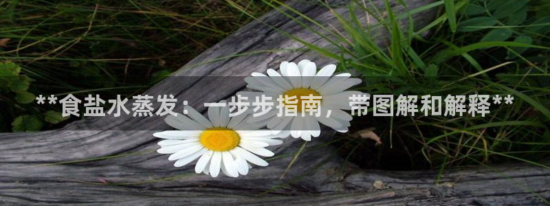 威九国际官方网站最新版本更新内容介绍