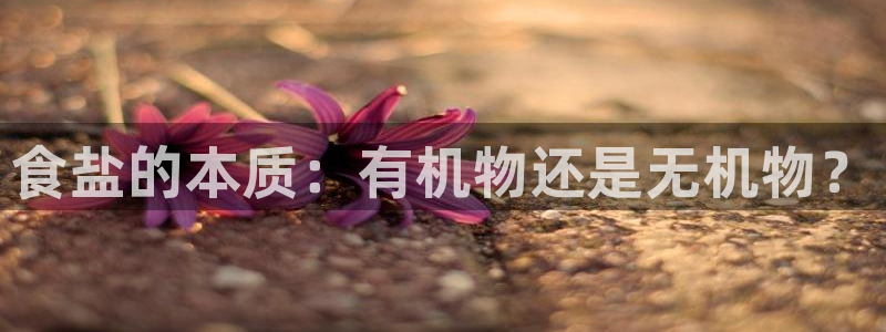 威九国际地址