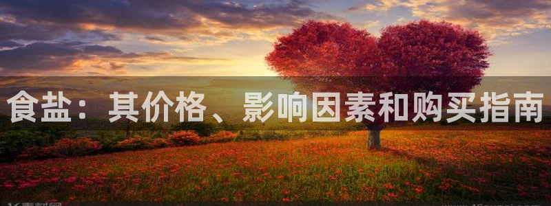 78mapp威九国际人民网