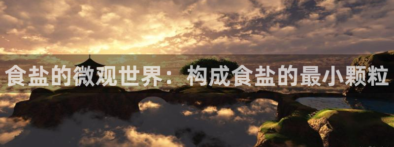 威九国际女艺人