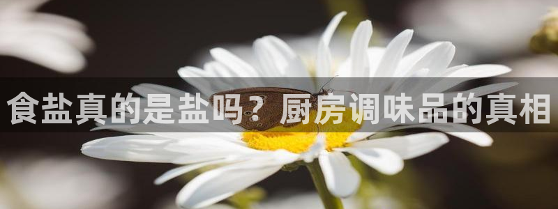 威九国际能提现吗是真的吗