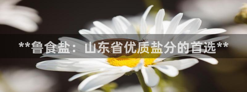 威九国际网站入口官网首页