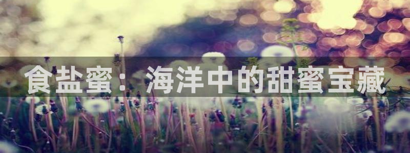 78mapp威九国际官网
