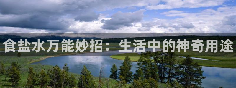 威九国际APP下载