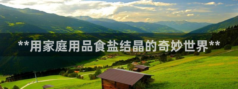 威九国际MV